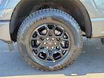 2025 Ford F-150 SuperCrew Cab 4x4 Pickup for sale #00250470 - photo 20