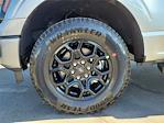 2025 Ford F-150 SuperCrew Cab 4x4 Pickup for sale #00250488 - photo 18