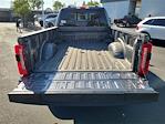 2025 Ford F-350 Crew Cab SRW 4x4 Pickup for sale #00250490 - photo 19
