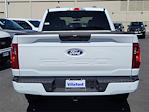 2025 Ford F-150 SuperCrew Cab 4x4 Pickup for sale #00250495 - photo 15