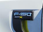 2025 Ford F-150 SuperCrew Cab 4x4 Pickup for sale #00250495 - photo 16