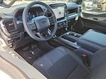 2025 Ford F-150 SuperCrew Cab 4x4 Pickup for sale #00250495 - photo 3