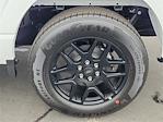2025 Ford F-150 SuperCrew Cab 4x2 Pickup for sale #00250517 - photo 20