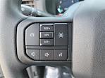 2025 Ford F-150 SuperCrew Cab 4x2 Pickup for sale #00250526 - photo 5