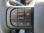2025 Ford F-150 SuperCrew Cab 4x4 Pickup for sale #00250610 - photo 20