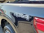 2025 Ford F-150 SuperCrew Cab 4x4 Pickup for sale #00250610 - photo 9