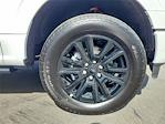 2025 Ford F-150 SuperCrew Cab 4x4 Pickup for sale #00250626 - photo 19