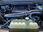 2025 Ford F-150 SuperCrew Cab 4x4 Pickup for sale #00250684 - photo 24