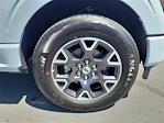 2025 Ford F-150 SuperCrew Cab 4x2 Pickup for sale #00250706 - photo 18