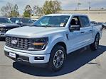 2025 Ford F-150 SuperCrew Cab 4x2 Pickup for sale #00250706 - photo 19
