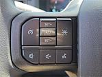 2025 Ford F-150 SuperCrew Cab 4x2 Pickup for sale #00250706 - photo 6