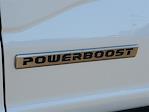 2025 Ford F-150 SuperCrew Cab 4WD Pickup for sale #00250758 - photo 18