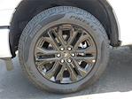 2025 Ford F-150 SuperCrew Cab 4WD Pickup for sale #00250758 - photo 20