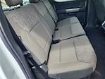 2025 Ford F-150 SuperCrew Cab 4x4 Pickup for sale #00250779 - photo 17