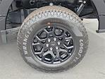 2025 Ford F-150 SuperCrew Cab 4x4 Pickup for sale #00250797 - photo 23