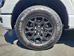 2025 Ford F-150 SuperCrew Cab 4x4 Pickup for sale #00250801 - photo 21