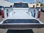2025 Ford F-150 SuperCrew Cab 4x4 Pickup for sale #00250813 - photo 20