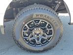 2025 Ford F-150 SuperCrew Cab 4x4 Pickup for sale #00250878 - photo 22
