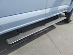 2025 Ford F-450 Crew Cab DRW 4x4 Pickup for sale #00250880 - photo 21