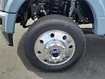 2025 Ford F-450 Crew Cab DRW 4x4 Pickup for sale #00250880 - photo 28