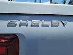 2025 Ford F-150 SuperCrew Cab 4x4 Pickup for sale #00250930 - photo 24