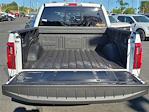 2025 Ford F-150 SuperCrew Cab 4x4 Pickup for sale #00250987 - photo 25