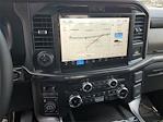 2025 Ford F-150 SuperCrew Cab 4x4 Pickup for sale #00251001 - photo 10