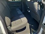 2025 Ford F-150 SuperCrew Cab 4x2 Pickup for sale #00251007 - photo 13