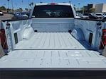 2025 Ford F-150 SuperCrew Cab 4x2 Pickup for sale #00251007 - photo 16