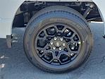2025 Ford F-150 SuperCrew Cab 4x2 Pickup for sale #00251007 - photo 20