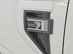 2025 Ford F-150 SuperCrew Cab 4x4 Pickup for sale #00251096 - photo 25