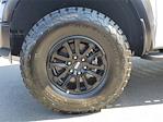 2025 Ford F-150 SuperCrew Cab 4x4 Pickup for sale #00251280 - photo 21