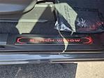 2025 Ford F-150 Regular Cab 4x4 Pickup for sale #00251370 - photo 14