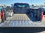 2025 Ford F-150 Regular Cab 4x4 Pickup for sale #00251370 - photo 16