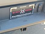 2025 Ford F-150 Regular Cab 4x4 Pickup for sale #00251370 - photo 18