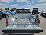 2025 Ford F-150 SuperCrew Cab 4x2 Pickup for sale #00251421 - photo 19