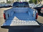 2025 Ford F-150 SuperCrew Cab 4WD Pickup for sale #00251483 - photo 20
