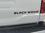 2025 Ford F-150 SuperCrew Cab 4WD Pickup for sale #00251483 - photo 21