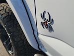 2025 Ford F-150 SuperCrew Cab 4WD Pickup for sale #00251483 - photo 25