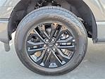 2025 Ford F-150 SuperCrew Cab 4WD Pickup for sale #00251490 - photo 22