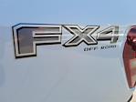 2025 Ford F-150 SuperCrew Cab 4x4 Pickup for sale #00251495 - photo 19