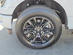 2025 Ford F-150 SuperCrew Cab 4x4 Pickup for sale #00251495 - photo 22