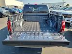 2025 Ford F-150 SuperCrew Cab 4x4 Pickup for sale #00251578 - photo 19