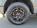 2025 Ford F-150 SuperCrew Cab 4x4 Pickup for sale #00251578 - photo 23