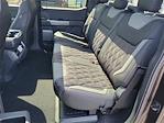 2025 Ford F-150 SuperCrew Cab 4WD Pickup for sale #00251589 - photo 17