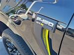 2025 Ford F-150 SuperCrew Cab RWD Pickup for sale #00251666 - photo 18