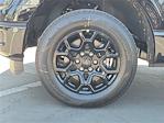 2025 Ford F-150 SuperCrew Cab RWD Pickup for sale #00251666 - photo 19