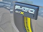 2025 Ford F-150 SuperCrew Cab RWD Pickup for sale #00251677 - photo 18