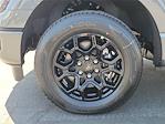 2025 Ford F-150 SuperCrew Cab RWD Pickup for sale #00251677 - photo 19