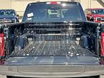 2025 Ford F-150 SuperCrew Cab 4WD Pickup for sale #00251733 - photo 16